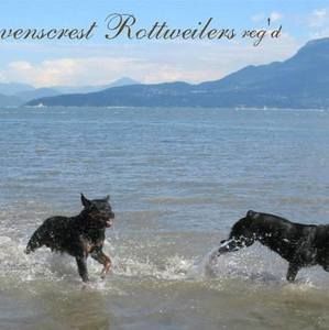 Meet your Posher, Pam